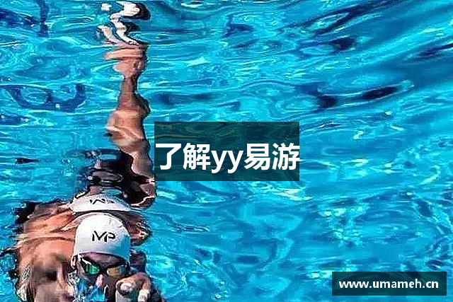 了解yy易游